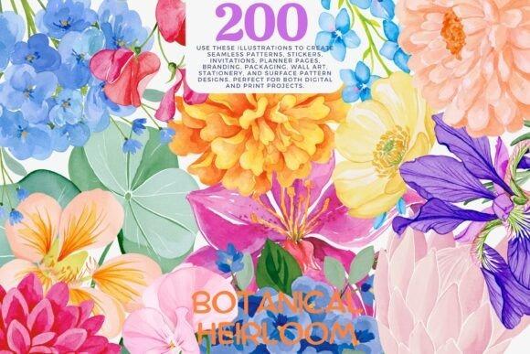 Flower Clipart Picks featuring a colorful botanical watercolor floral collection with varied flowers for crafts and